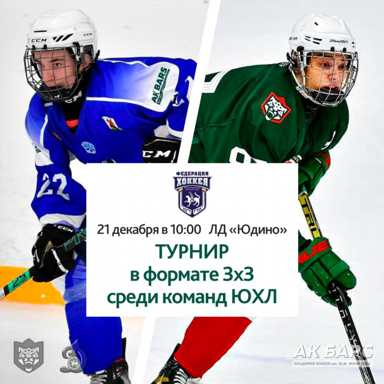 Федерация хоккея казани