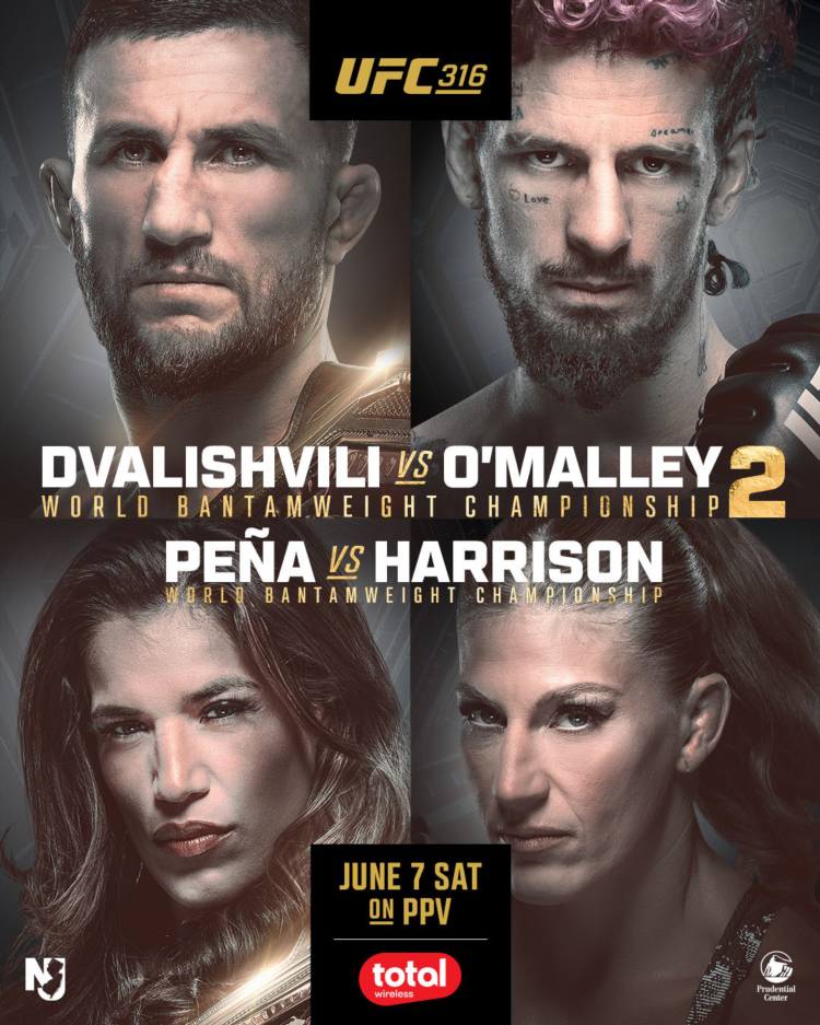 Free fight ufc