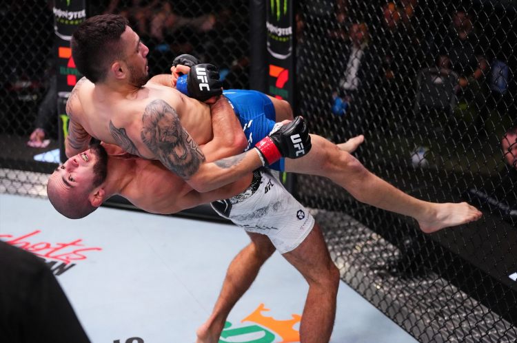 Новые бои ufc