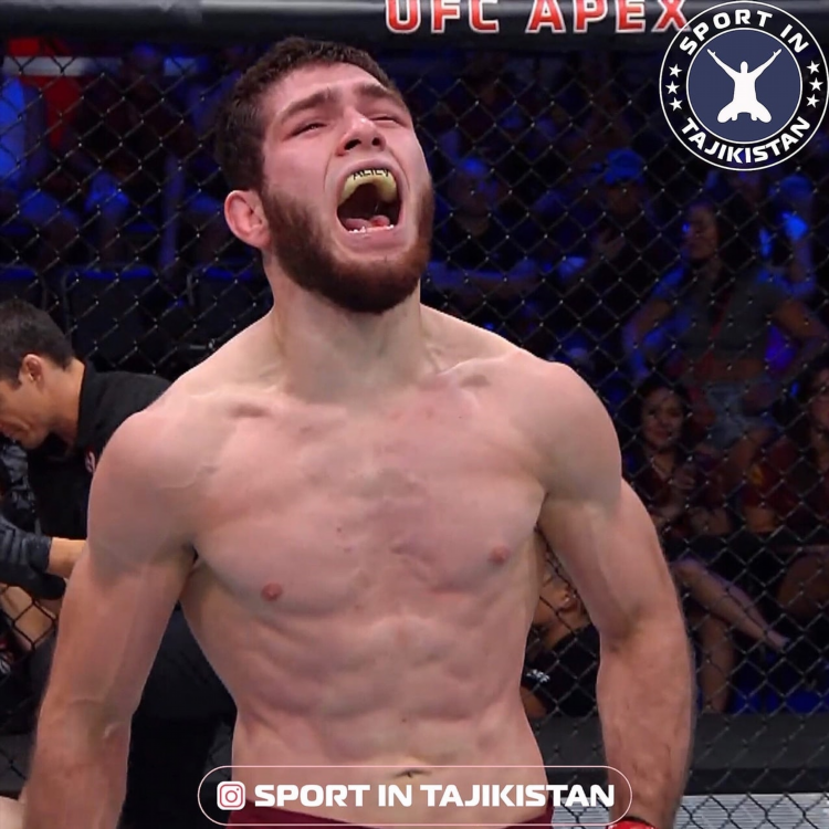 Последний бой ufc