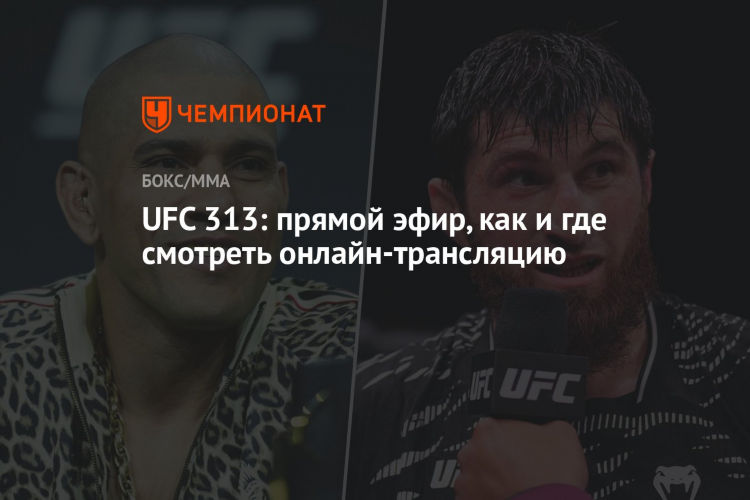 Прямой эфир матч боец прямая трансляция ufc