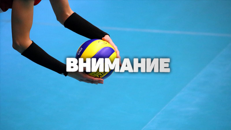 Смотреть бесплатно волейбол