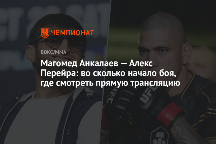 Смотреть матч тв онлайн прямая трансляция
