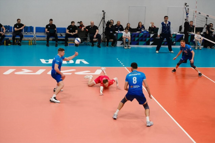 Спорт волейбол мужчины сегодня