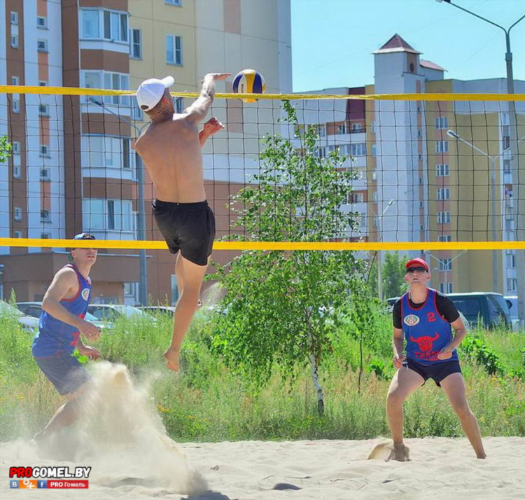 Волейбол чемпионат беларуси мужчины
